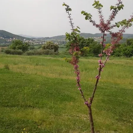 Agriturismo Colle Vento